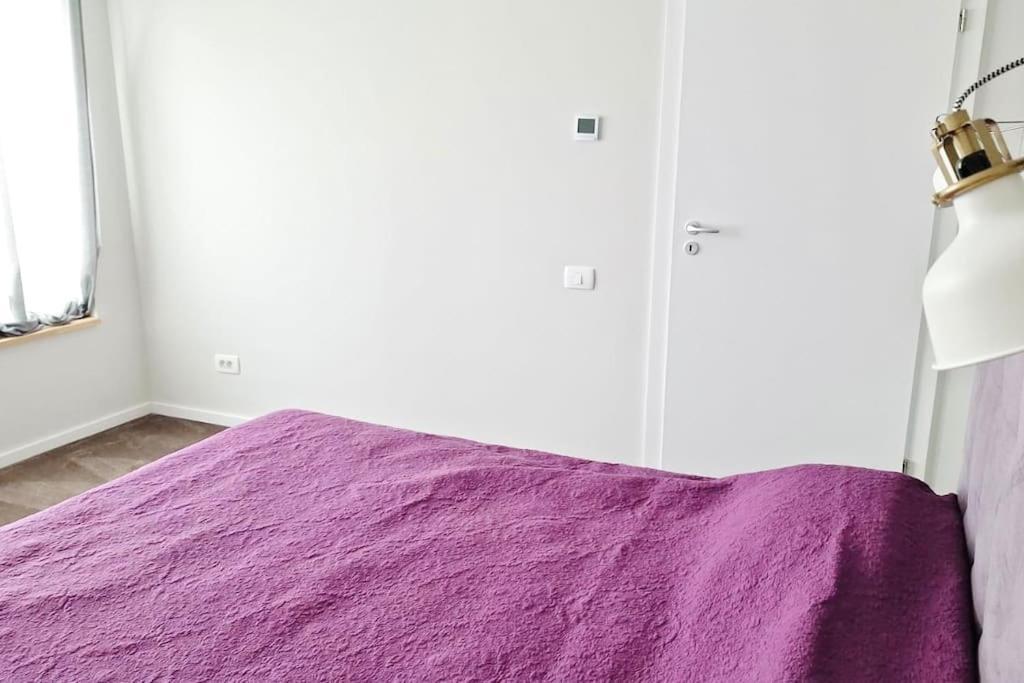 Pineview Lempes Villa Brasov Exterior photo